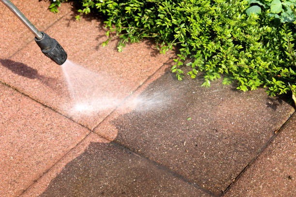 Best Pressure Washing Near Me  in Ponce Inlet, FL